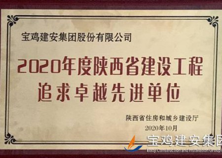 2020年度陜西省建設工程追求卓越先進單位